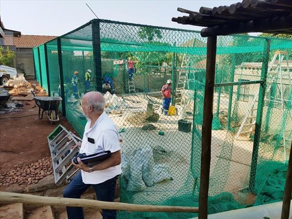 Consult - Astro Turf